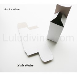 Boite / emballage de carton blanc (taille 5x5x10)