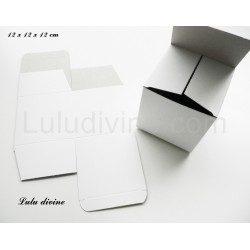 Boite carton : 12 x 12 x 12 cm