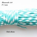 Paracorde 4 mm : Turquoise Blanc