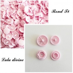 Kam Ronde rose T8 B18